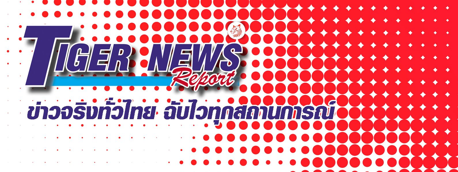 TIGERNEWS TV