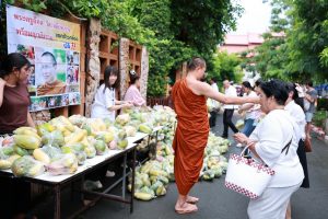 (มีคลิป) ผู้ใจบุญถวายมะม่วงพระครูอ๊อดวัดเจดีย์หลวงกว่า 15,000 กิโลฯแจกฟรีประชาชนร่วมพิธีบูชาเสาอินทขิล