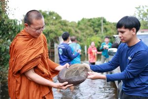 (มีคลิป) เรื่องราวท้ายข่าว กับเจ้าปลาช่อนตัวใหญ่พระครูอ๊อด วัดเจดีย์หลวงฯ พร้อมทีมอาสา ลุยน้ำท่วมบ้านแม่กุ้งน้อย มอบน้ำดื่ม–อาหารสัตว์ บรรเทาทุกข์พี่น้องชาวสันป่าตอง