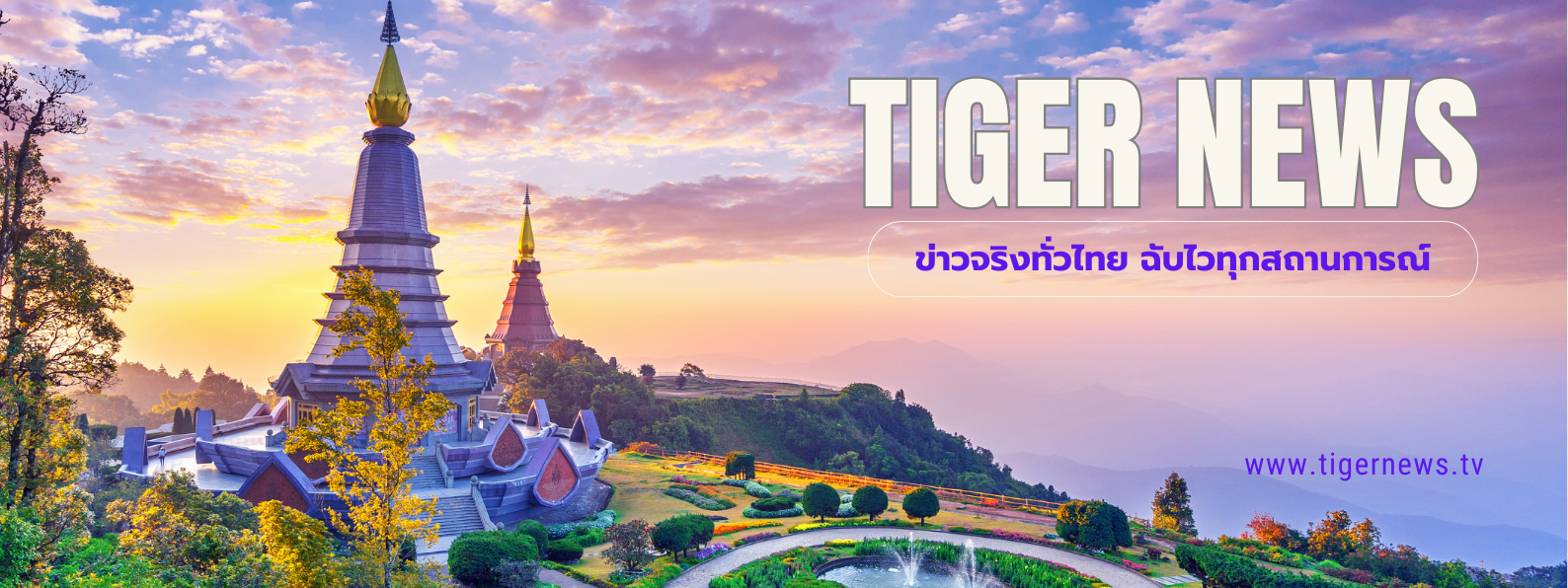 TIGERNEWS TV