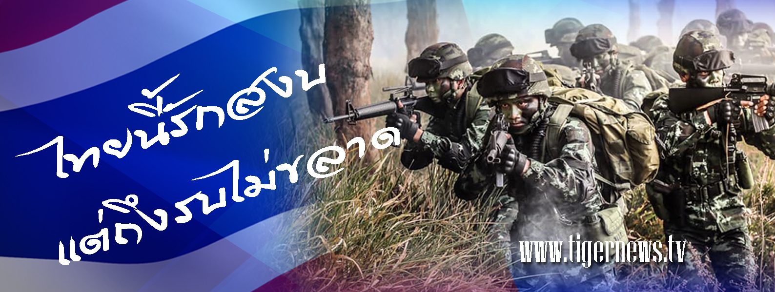 TIGERNEWS TV