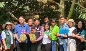 ภาพประกอบ