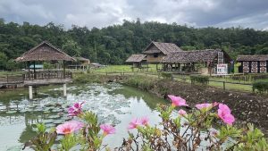 ชุมชนแพมบก อ.ปาย หมู่บ้านท่องเที่ยวที่มาแรงในพื้นที่แม่ฮ่องสอน